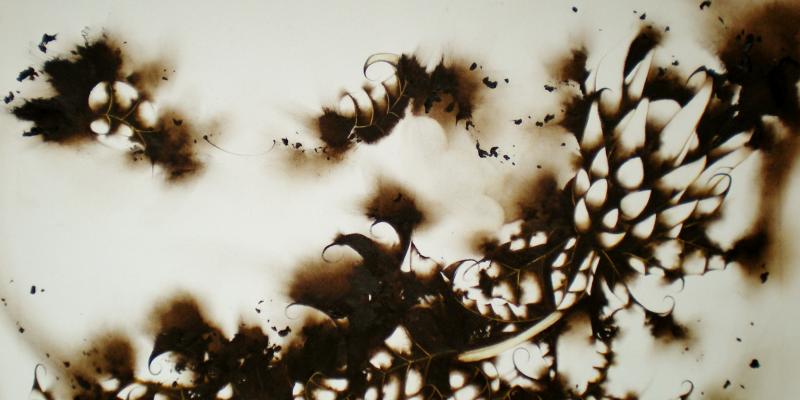 Galleria Elle “Equilibri e colori nell’arte” -caso o caos?- Galleria Elle “Equilibri e colori nell’arte” -caso o caos?-