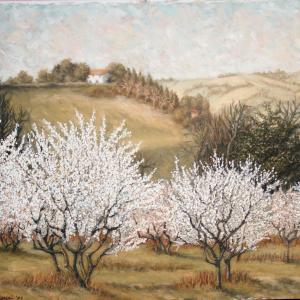 La Bellezza e la Natura