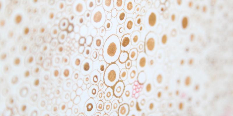 Verge art miamibeach "Tomorrow Stars"