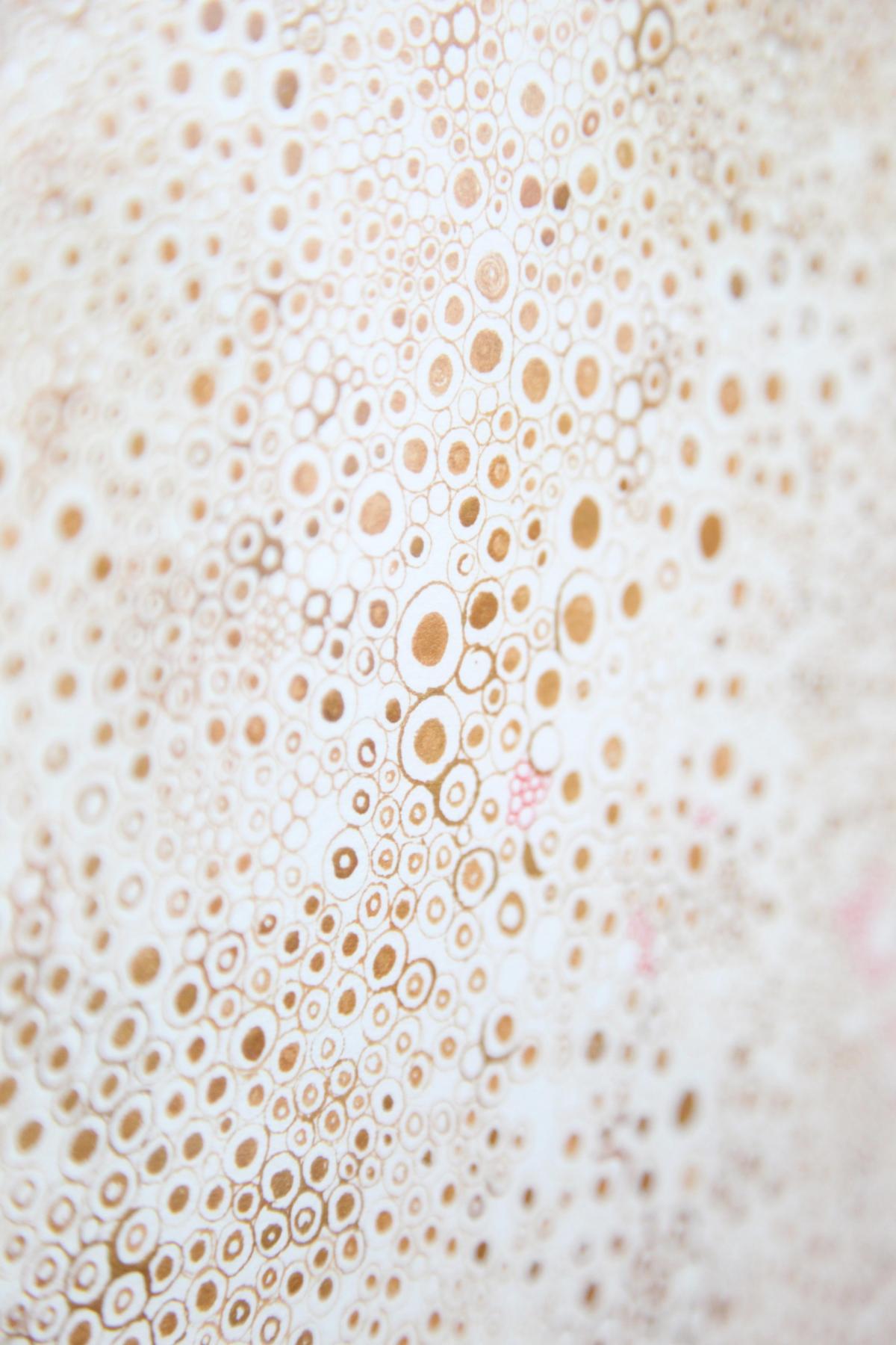 Verge art miamibeach "Tomorrow Stars" Verge art miamibeach "Tomorrow Stars"