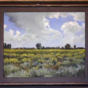 LE FOTO DI ALTRA NATURA IN VILLA fino al 25 ottobre CLUB LA MERIDIANA (MO)