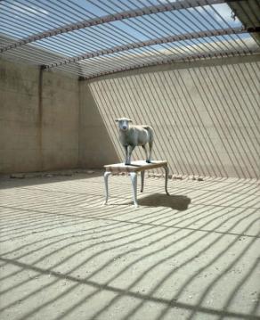 animals&landscapes #4