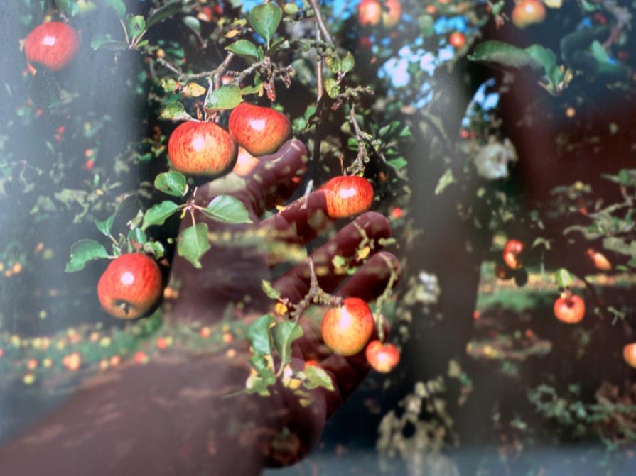 home be/longings home be/longings