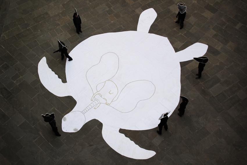 Turtle's dancing organs (La grande Tartaruga e i suoi organi danzanti) Turtle's dancing organs (La grande Tartaruga e i suoi organi danzanti)