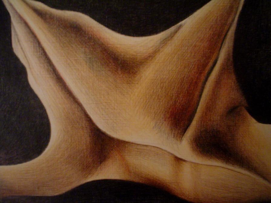 Studio di Superfici, particolare