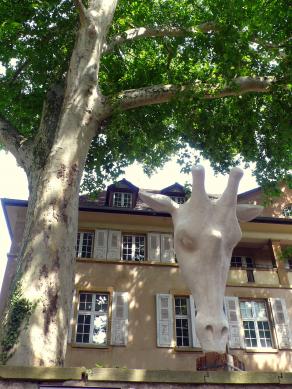 L'arbre et la girafe