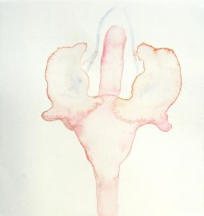 Levitas Originae particolare