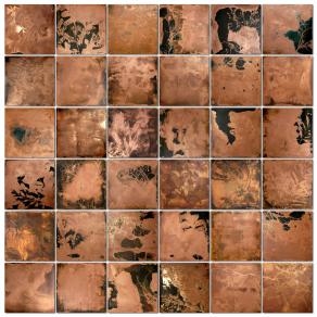 Antica leggenda sulla resistenza dell'albero inaridito Antica leggenda sulla resistenza dell'albero inaridito