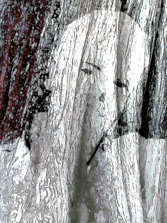 La condizione della donna è cambiata nel tempo…