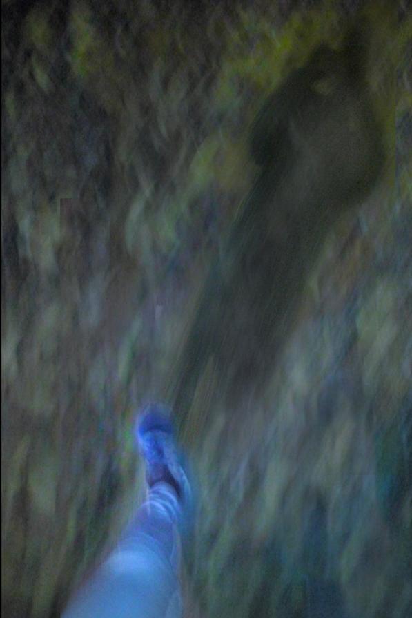 camminare al Parco Tarello by night, per nuove emozioni tutte da scoprire.