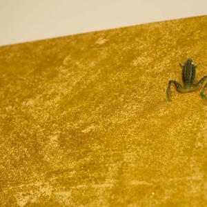 The border_line - Tecnica mista