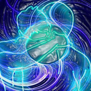 Dove gli occhi van volentieri .. anche il cuore va .. né il piede tarda a seguirli !!!