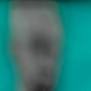 Untitled, from the series 