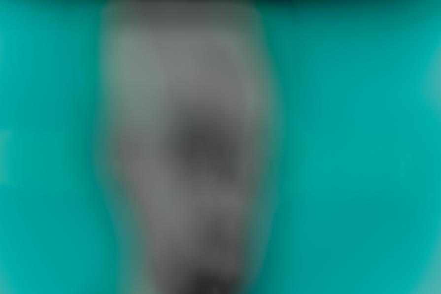 Untitled, from the series 