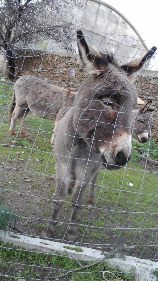 invano si cercano vie d'uscita