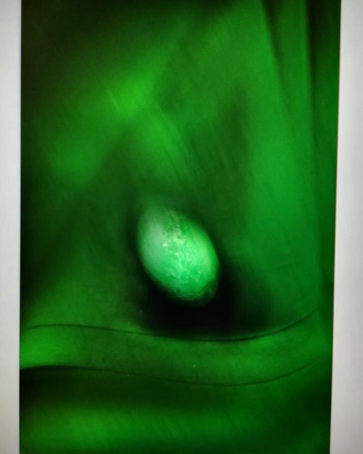 Il verde in caduta libera. 