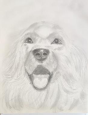               ... "Il Cuore Scodinzola" ...