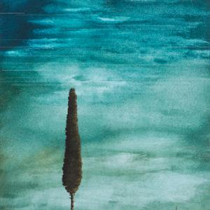 Taste Tuscany Taste Tuscany