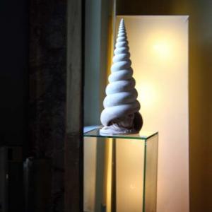 ULTIMA MOSTRA ALLA MERIDIANA di MODENA ..poi pausa estiva.