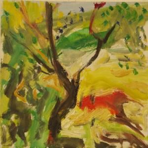 Dialogo con la Natura- oltre i 16:9