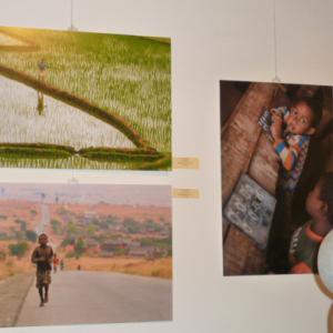 ESTATE IN ARTE alla Galleria ArteArte di Mantova