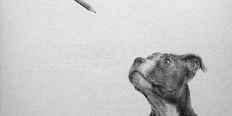 Massimiliano Galliani, Il mio segno