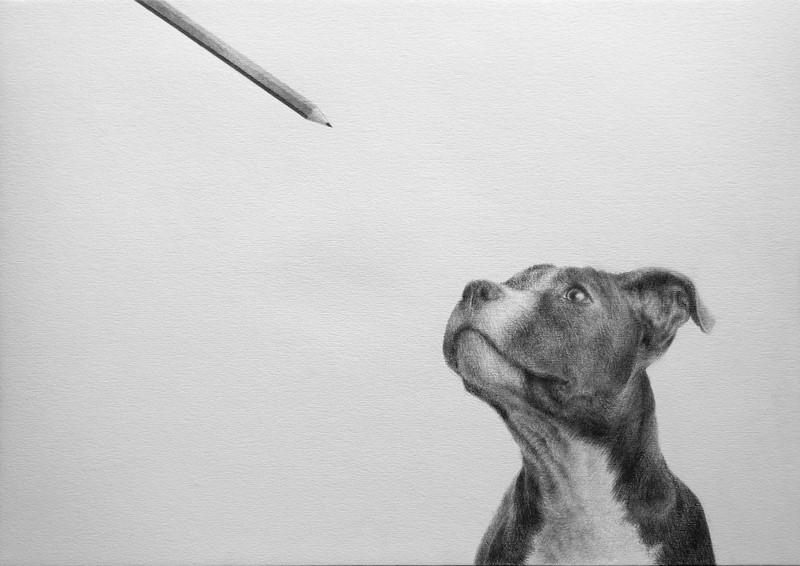 Massimiliano Galliani, Il mio segno