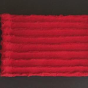 La forma di un’idea