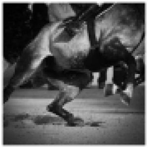 TST Art Gallery e CAVALLIaMILANO