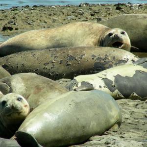 Argentina. Patagonia
