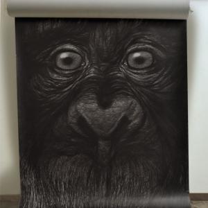 Il canto della terra