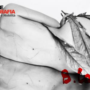 LVI Premio Basilio Cascella 2012 | Miseria e Nobiltà LVI Premio Basilio Cascella 2012 | Miseria e Nobiltà