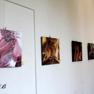 FORMA ET IMAGO al PALAZZO DUCALE DI REVERE (MN) 6-28 GIUGNO 2015