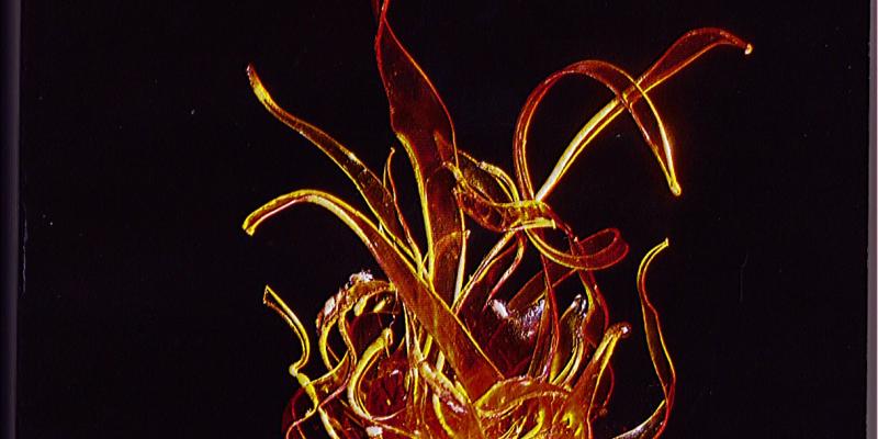 MILANO ARTE E QUOTAZIONI  COLLECTION 2014