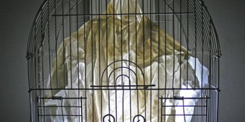 Riccardo Saltini_OrkArt Riccardo Saltini_OrkArt