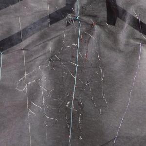 Premio Pittura INAIL 2013/14 III°Ed.