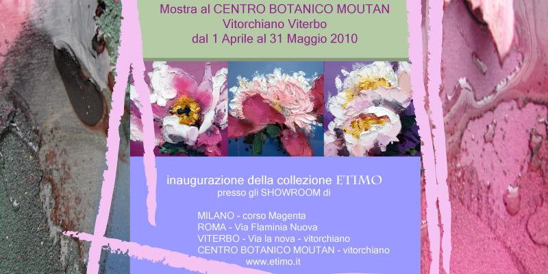 I colori delle peonie