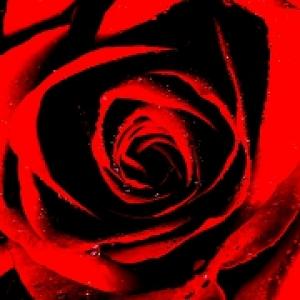 "Psychedelic Pie" and "The Last Collaboration" "Psychedelic Pie" and "The Last Collaboration"