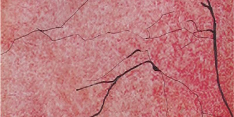 Buddha Sattva - Legge del ritmo e dell'armonia Buddha Sattva - Legge del ritmo e dell'armonia