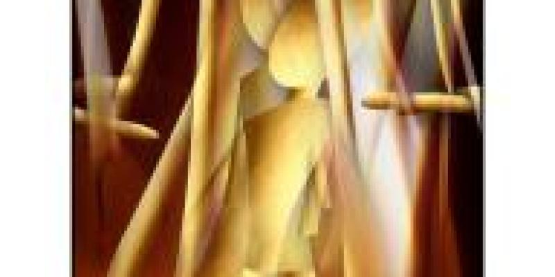 amsterdam whitney gallery