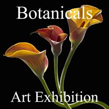 Botanicals Art Exhibition Now Online and Ready to View