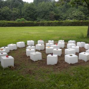 “Dalla raccolta alla semina” “Dalla raccolta alla semina”