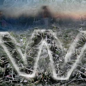 wwwwwwwwwwwwwwww   di winter.