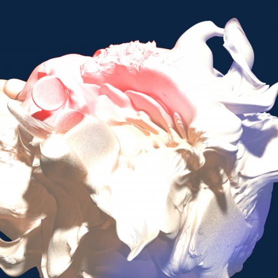 In the Service of the Species