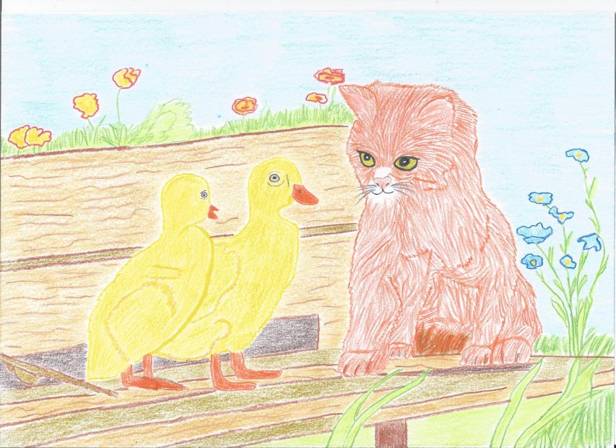 Il gattino che osserva le papere