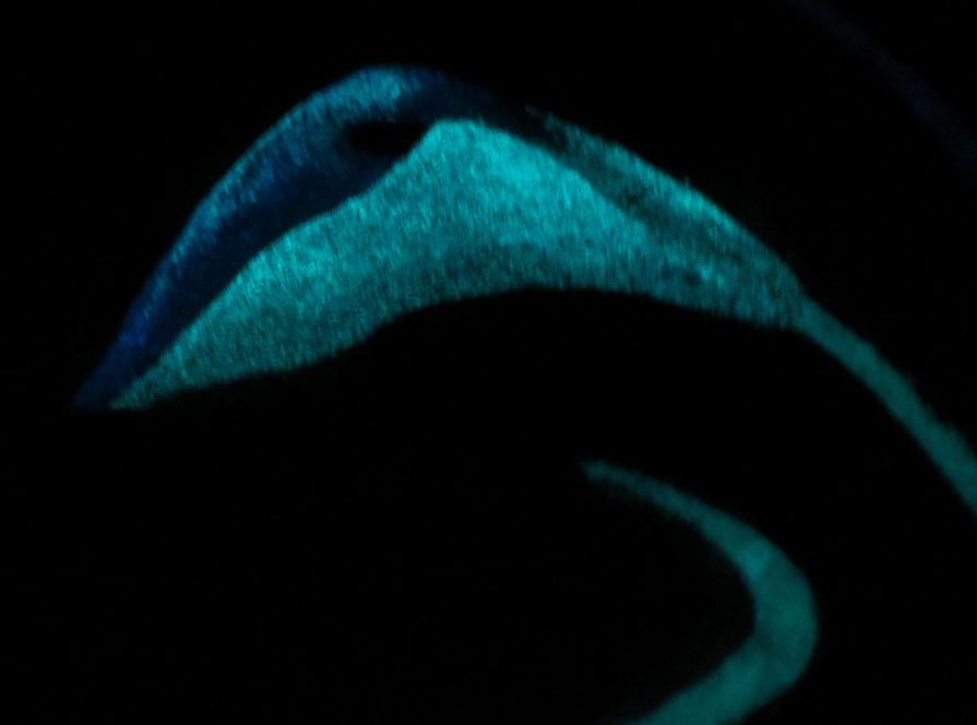 Kalòs V - particolare al buio