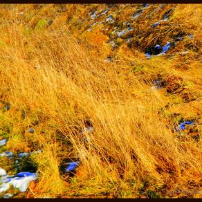 Wärme suchen im Winter