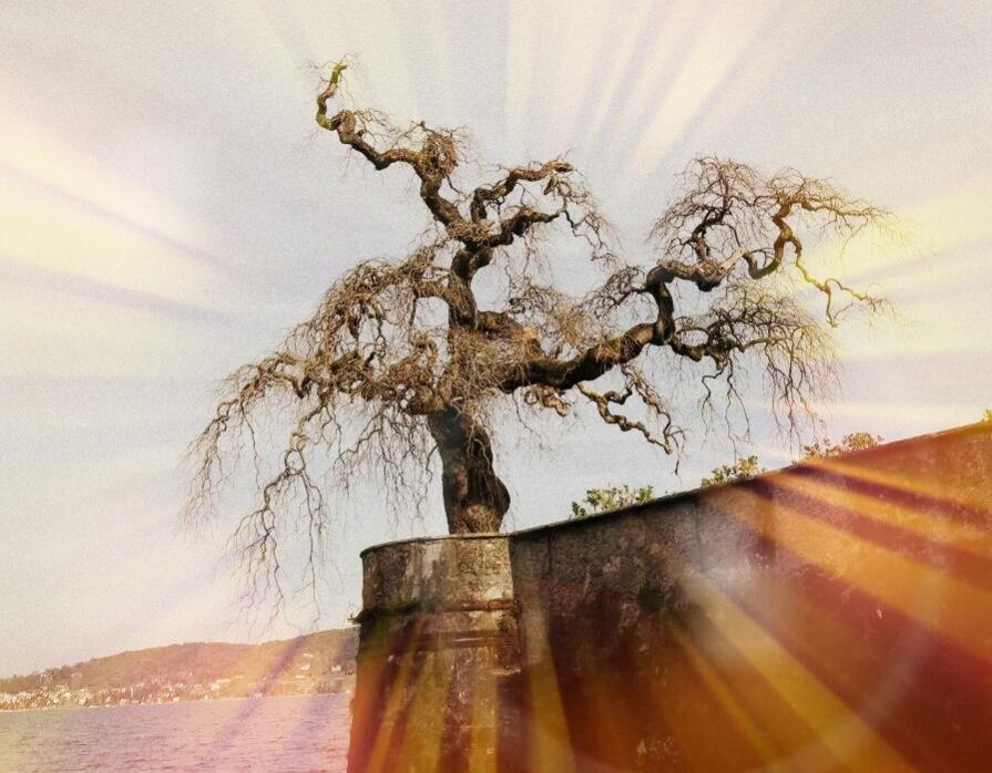 La magia della natura!