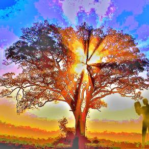 ...CERCA DI ESSERE SEMPRE TE STESSO COSI' UN GIORNO POTRAI DIRE DI ESSERE STATO L'UNICO...!!!