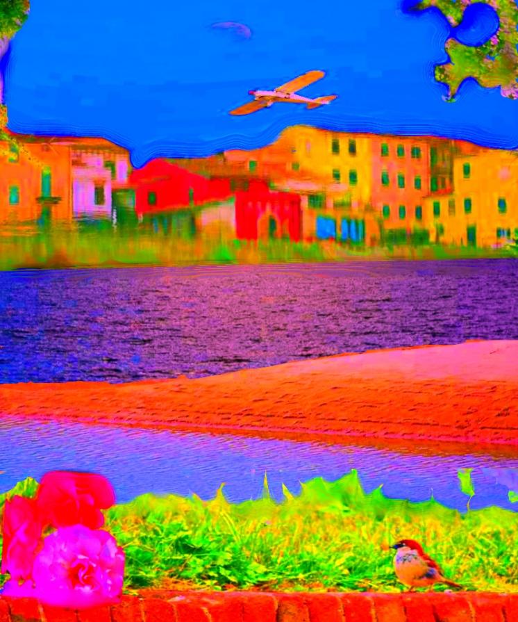 ...L'AMICIZIA È CONDIVIDERE LE PROPRIE EMOZIONI CON ALTRI...!!! *** DEDICATO A TE ANGELA PALESE !! ...L'AMICIZIA È CONDIVIDERE LE PROPRIE EMOZIONI CON ALTRI...!!! *** DEDICATO A TE ANGELA PALESE !!